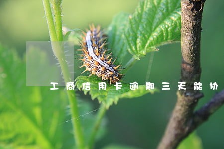 工商信用卡逾期三天能协商吗