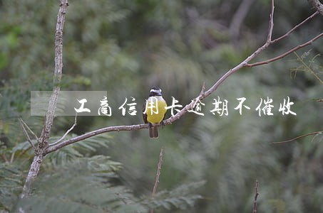 工商信用卡逾期不催收 工商信用卡逾期不催收