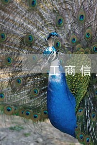 工商信用卡逾期不够钱 工商信用卡逾期不够钱