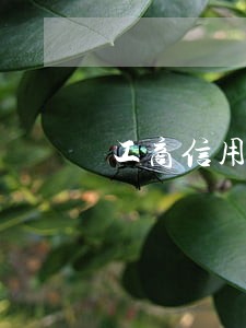 工商信用卡逾期不能减免 工商信用卡逾期不能减免