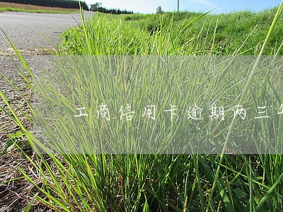 工商信用卡逾期两三年 工商信用卡逾期两三年