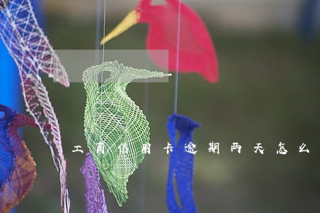 工商信用卡逾期两天怎么算 工商信用卡逾期两天怎么算