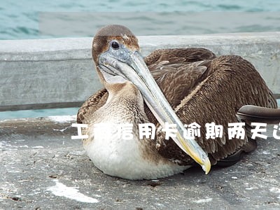 工商信用卡逾期两天还了能用吗