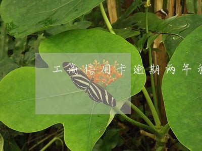 工商信用卡逾期两年利息减免