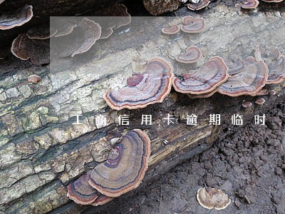 工商信用卡逾期临时 工商信用卡逾期临时