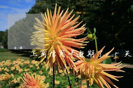 工商信用卡逾期了15天 工商信用卡逾期了15天