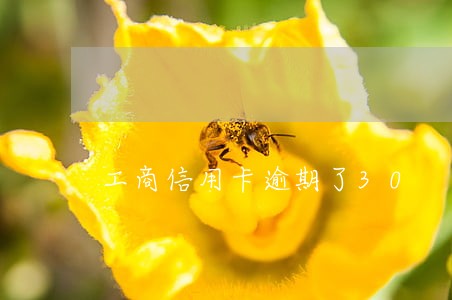 工商信用卡逾期了30 工商信用卡逾期了30