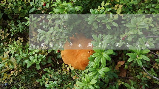 工商信用卡逾期了六天会怎样