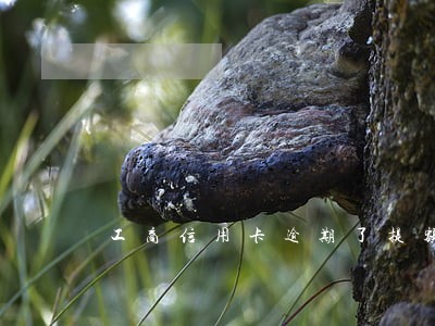 工商信用卡逾期了提额度吗 工商信用卡逾期了提额度吗