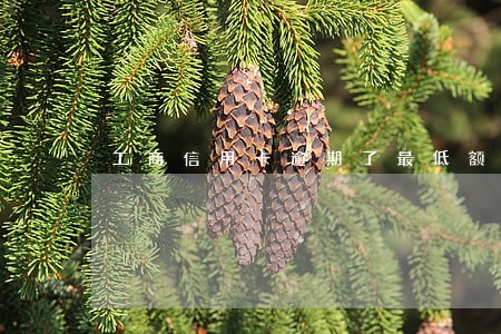 工商信用卡逾期了最低额度翻倍 工商信用卡逾期了最低额度翻倍