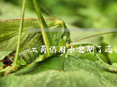 工商信用卡逾期了还会提额吗 工商信用卡逾期了还会提额吗