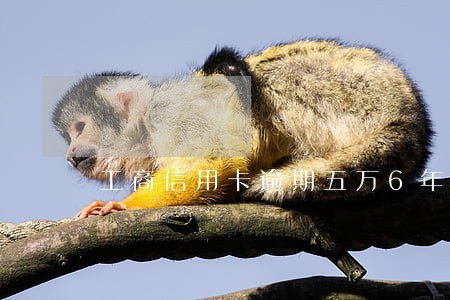 工商信用卡逾期五万6年了 工商信用卡逾期五万6年了