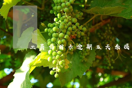 工商信用卡逾期五天未提醒 工商信用卡逾期五天未提醒