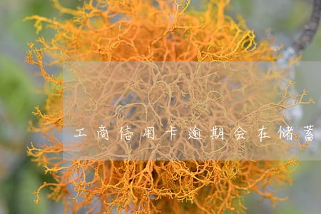 工商信用卡逾期会在储蓄卡扣吗 工商信用卡逾期会在储蓄卡扣吗