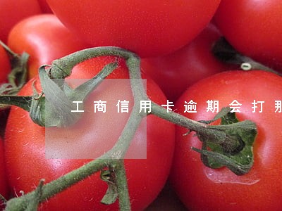工商信用卡逾期会打那个电话 工商信用卡逾期会打那个电话