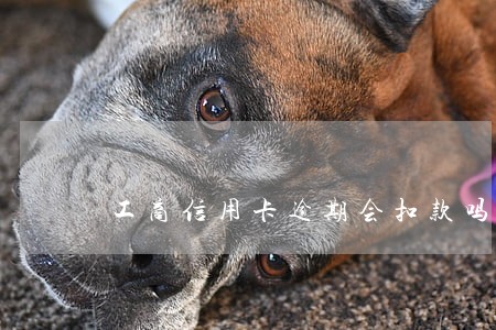 工商信用卡逾期会扣款吗 工商信用卡逾期会扣款吗