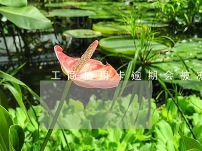 工商信用卡逾期会被冻结么 工商信用卡逾期会被冻结么