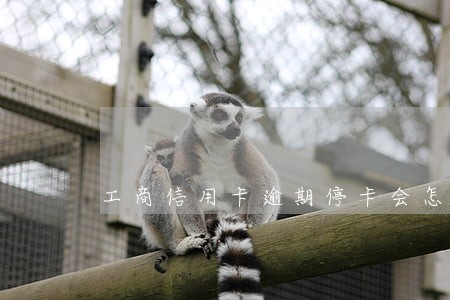 工商信用卡逾期停卡会怎么样 工商信用卡逾期停卡会怎么样