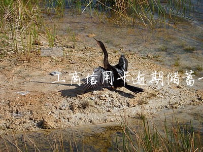 工商信用卡逾期储蓄卡扣钱吗 工商信用卡逾期储蓄卡扣钱吗