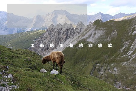 工商信用卡逾期催收 工商信用卡逾期催收