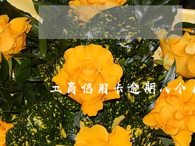 工商信用卡逾期八个月卡