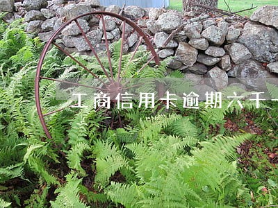 工商信用卡逾期六千一年多