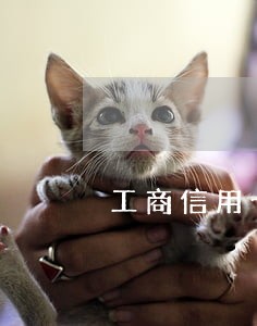 工商信用卡逾期冻结4年