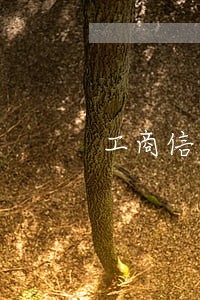 工商信用卡逾期冻结了还清 工商信用卡逾期冻结了还清
