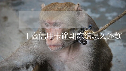 工商信用卡逾期冻结怎么还款