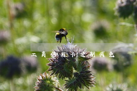 工商信用卡逾期减免