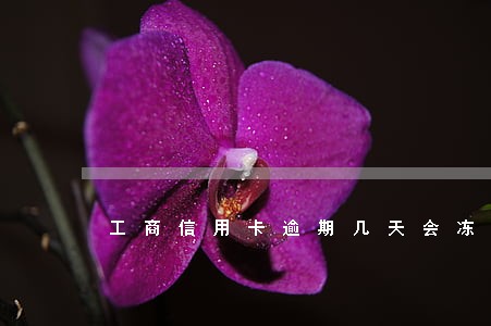 工商信用卡逾期几天会冻结