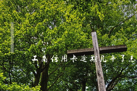 工商信用卡逾期几年了怎么还 工商信用卡逾期几年了怎么还
