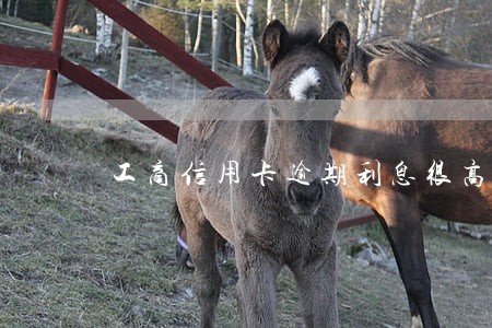 工商信用卡逾期利息很高