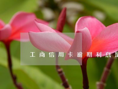 工商信用卡逾期利息是怎么计算的 工商信用卡逾期利息是怎么计算的