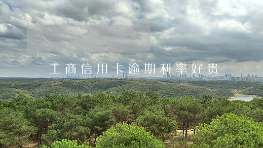 工商信用卡逾期利率好贵 工商信用卡逾期利率好贵