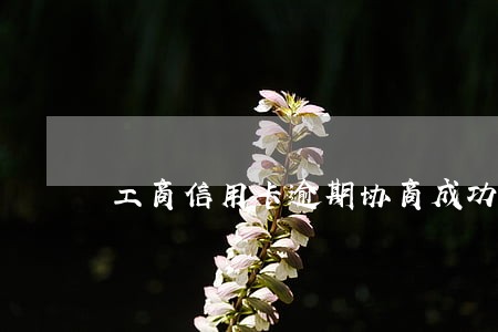 工商信用卡逾期协商成功 工商信用卡逾期协商成功