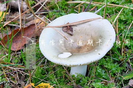 工商信用卡逾期卡不能用了