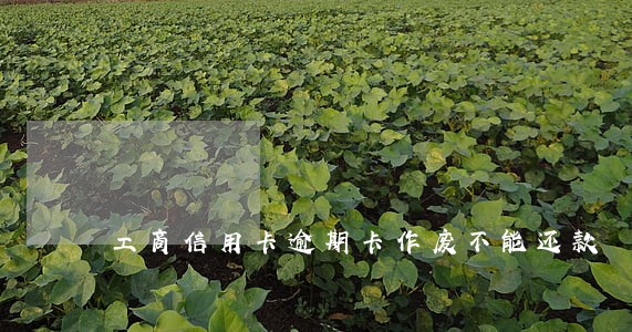 工商信用卡逾期卡作废不能还款