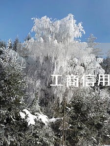 工商信用卡逾期卡已注销 工商信用卡逾期卡已注销
