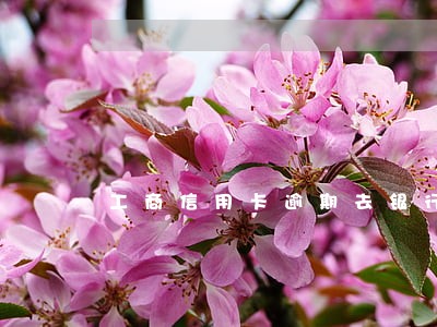 工商信用卡逾期去银行还款 工商信用卡逾期去银行还款