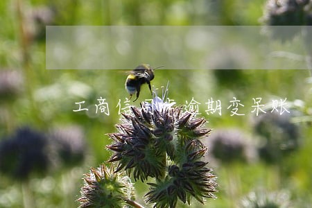 工商信用卡逾期变呆账 工商信用卡逾期变呆账