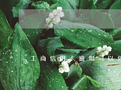 工商信用卡逾期可以停息 工商信用卡逾期可以停息