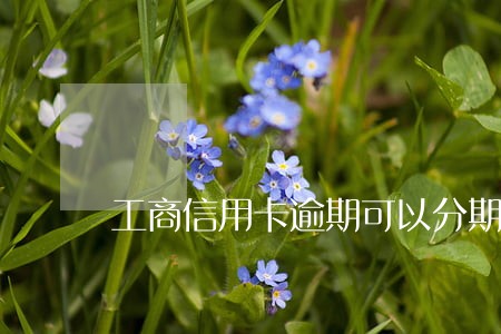 工商信用卡逾期可以分期还吗