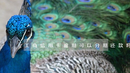 工商信用卡逾期可以分期还款吗 工商信用卡逾期可以分期还款吗