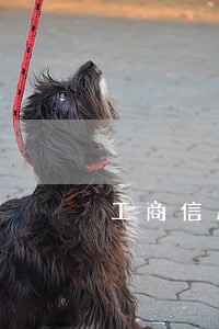 工商信用卡逾期可以协商处理吗 工商信用卡逾期可以协商处理吗