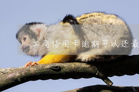 工商信用卡逾期可以还最低吗 工商信用卡逾期可以还最低吗
