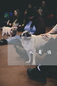 工商信用卡逾期可否减免 工商信用卡逾期可否减免