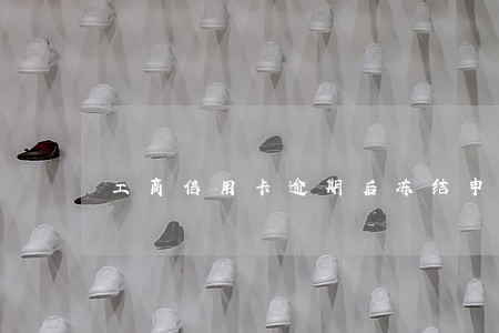 工商信用卡逾期后冻结申请 工商信用卡逾期后冻结申请