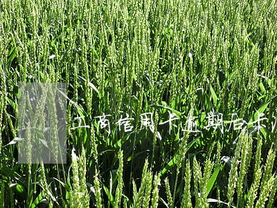 工商信用卡逾期后卡注销了 工商信用卡逾期后卡注销了