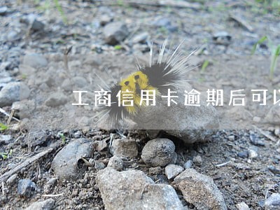 工商信用卡逾期后可以分期吗 工商信用卡逾期后可以分期吗